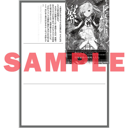 【STORE限定特典付き】オーバーラップ文庫「王女殿下はお怒りのようです 5.邂逅、そして」 | オーバーラップストア