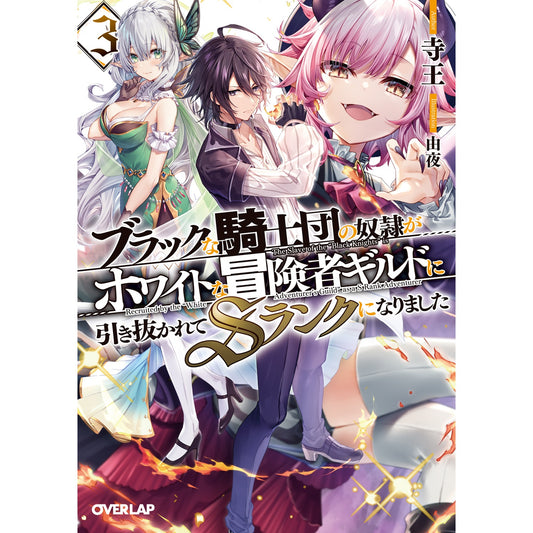 【STORE限定特典付き】オーバーラップ文庫「ブラックな騎士団の奴隷がホワイトな冒険者ギルドに引き抜かれてSランクになりました 3」 | オーバーラップストア