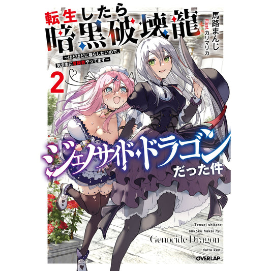 【STORE限定特典付き】オーバーラップノベルス「転生したら暗黒破壊龍ジェノサイド・ドラゴンだった件 2 ~ほどほどに暮らしたいので、気ままに冒険者やってます~」 | オーバーラップストア