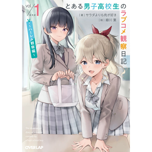 【STORE限定特典付き】オーバーラップ文庫「とある男子高校生のラブコメ観察日記 1 ~ハーレム観察編~」 | オーバーラップストア