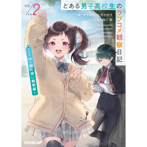 【STORE限定特典付き】オーバーラップ文庫「とある男子高校生のラブコメ観察日記 2　～1on1両片想い観察編～」