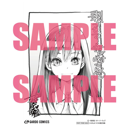 【STORE限定特典付き】ガルドコミックス「剥かせて！竜ケ崎さん２」 | オーバーラップストア