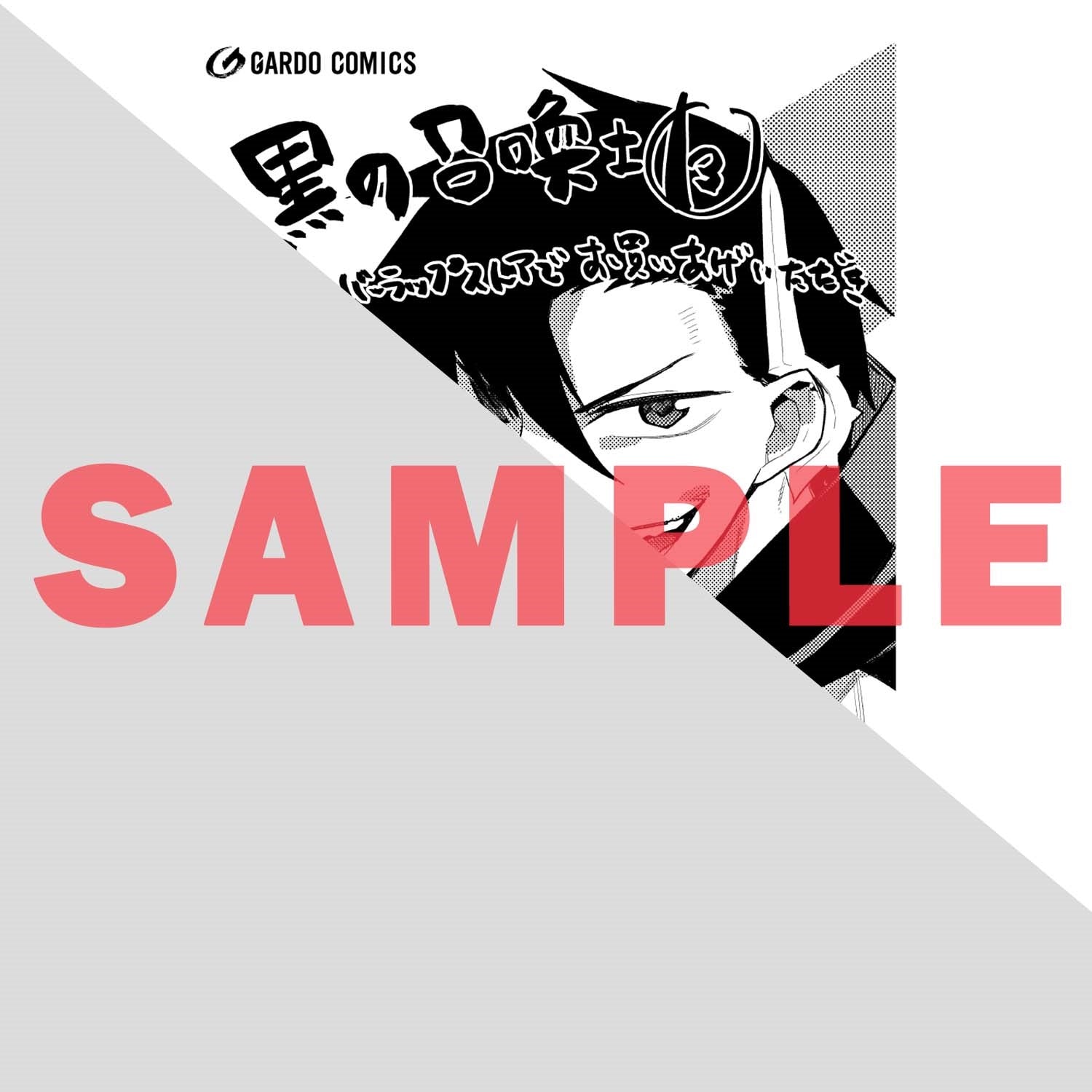 【STORE限定特典付き】ガルドコミックス「黒の召喚士 13」 | オーバーラップストア
