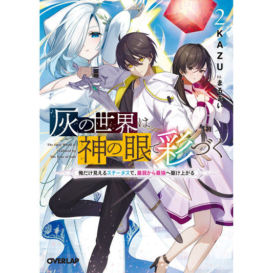【STORE限定特典付き】オーバーラップ文庫「灰の世界は神の眼で彩づく 2　～俺だけ見えるステータスで、最弱から最強へ駆け上がる～」 | オーバーラップストア