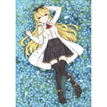 「ありふれた職業で世界最強」complete Blu-ray BOX | オーバーラップストア