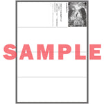 【STORE限定特典付き】オーバーラップ文庫「創成魔法の再現者 8　新星の玉座 -在り得ざる魔の前哨大戦-」 | オーバーラップストア