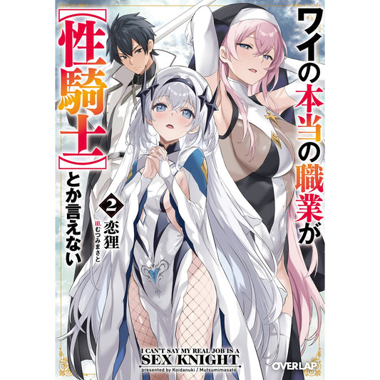 【STORE限定特典付き】オーバーラップ文庫「ワイの本当の職業が【性騎士】とか言えない 2」 | オーバーラップストア