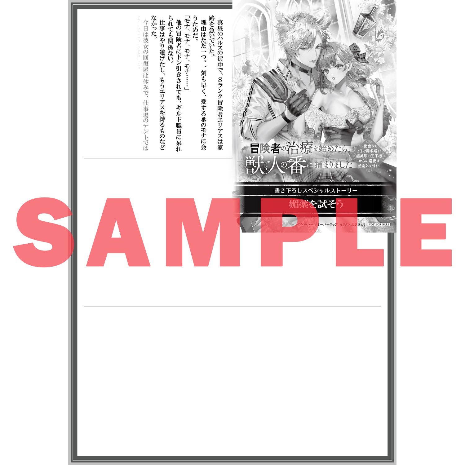 【STORE限定特典付き】ロサージュノベルス「冒険者の治療を始めたら、獣人の番に捕まりました ～出会って２日で即求婚！？ 超美形の王子様からの溺愛は想定外です！～」