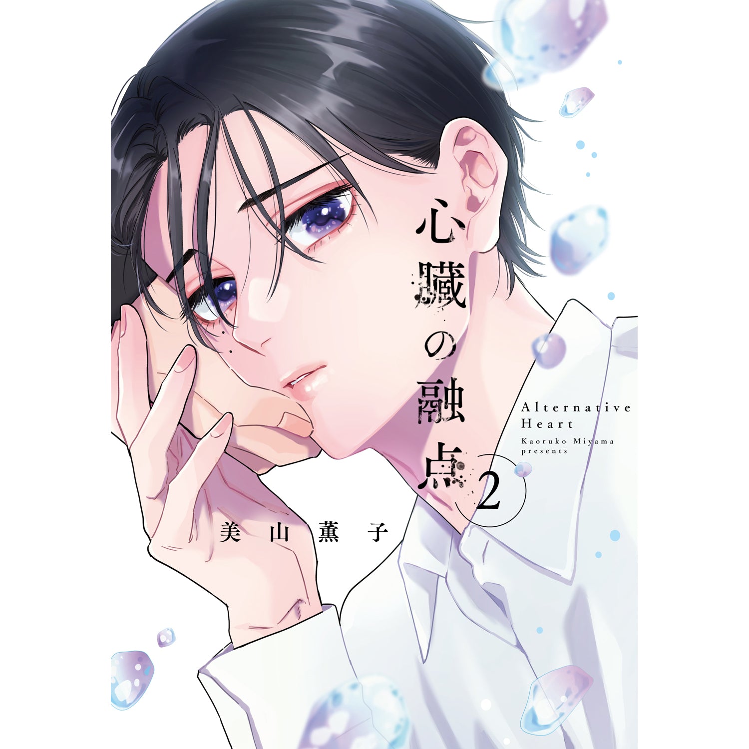 リキューレコミックス「心臓の融点 2」