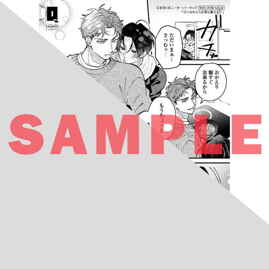 【特典付き】リキューレコミックス「Ωになれたらお前と番える？ 2」